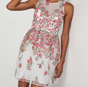 NWT BCBG Gardenia 3D floral embroidered mini dress